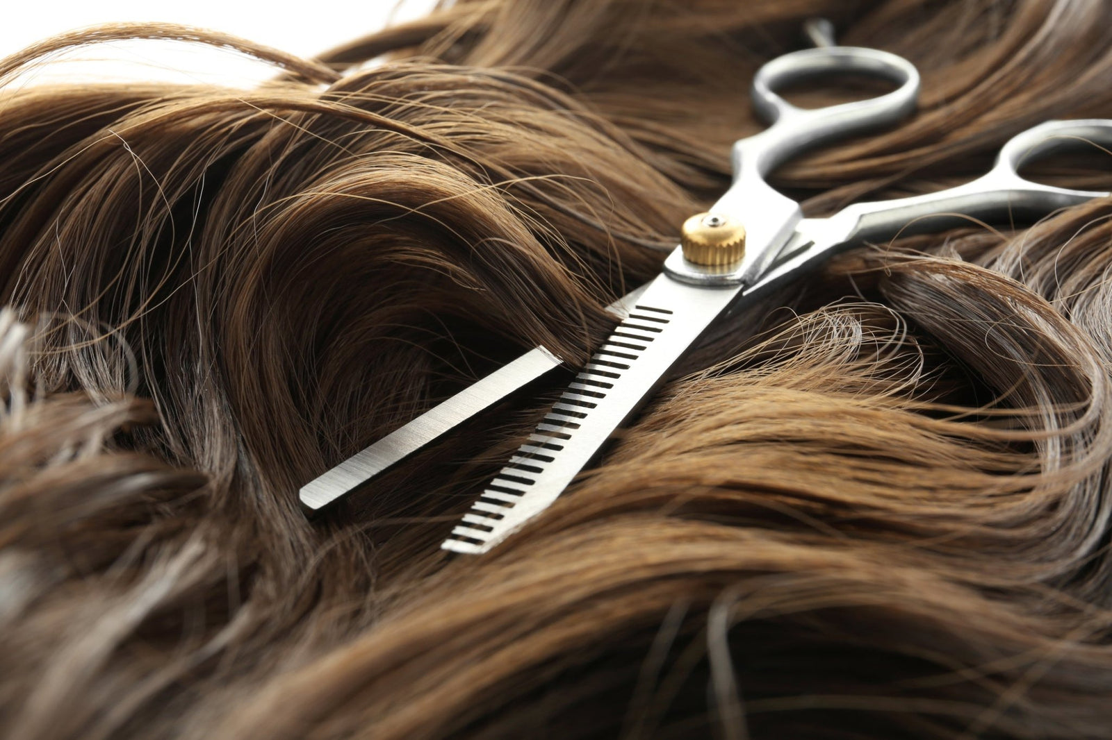 https://www.scissorhub.com.au/cdn/shop/articles/8-signs-that-your-scissors-need-sharpening-hair-shear-sharpening-919445_1600x.jpg?v=1676551393